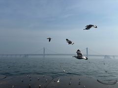 -星海广场