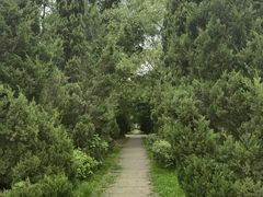 -长白岛森林公园