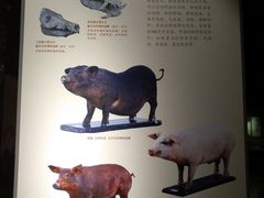 -洛阳周王城天子驾六博物馆