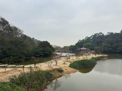 -南国桃园旅游度假区