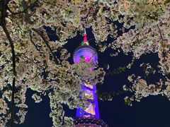 -东方明珠广播电视塔