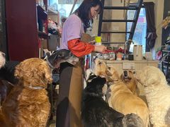 -萌喵咖啡屋(人民东路4号口M16商铺店)