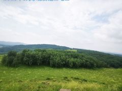 -御道口草原森林风景区