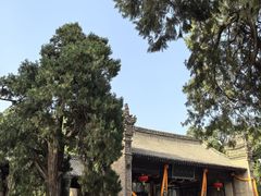 -仓颉庙