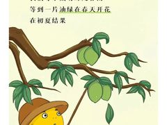 -大口九(东方广场店)