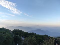 -梧桐山风景名胜区