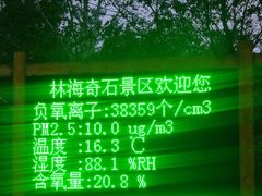 -汤旺河林海奇石景区