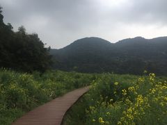 -广州市石门国家森林公园