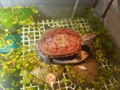 -钓虾工场·钓虾·赶海(回龙观店)