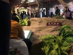 -自贡恐龙博物馆