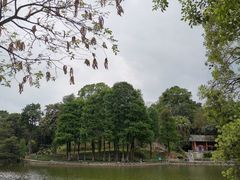 -广州市白云山风景名胜区
