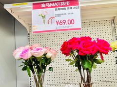 -盒马X会员店(上海森兰商都店)
