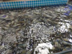 -福禧荟·海鲜自助