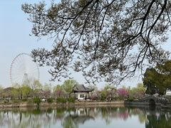 -无锡蠡湖国家湿地公园-蠡园