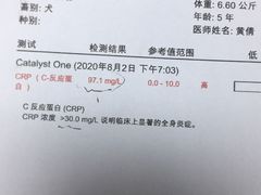 -宠颐生动物医院·全科·骨外科中心·利宠康分院