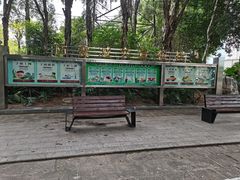 -光明港公园
