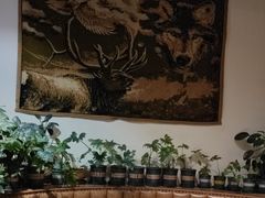 -草原塞蛮羊火锅城(港湾店)