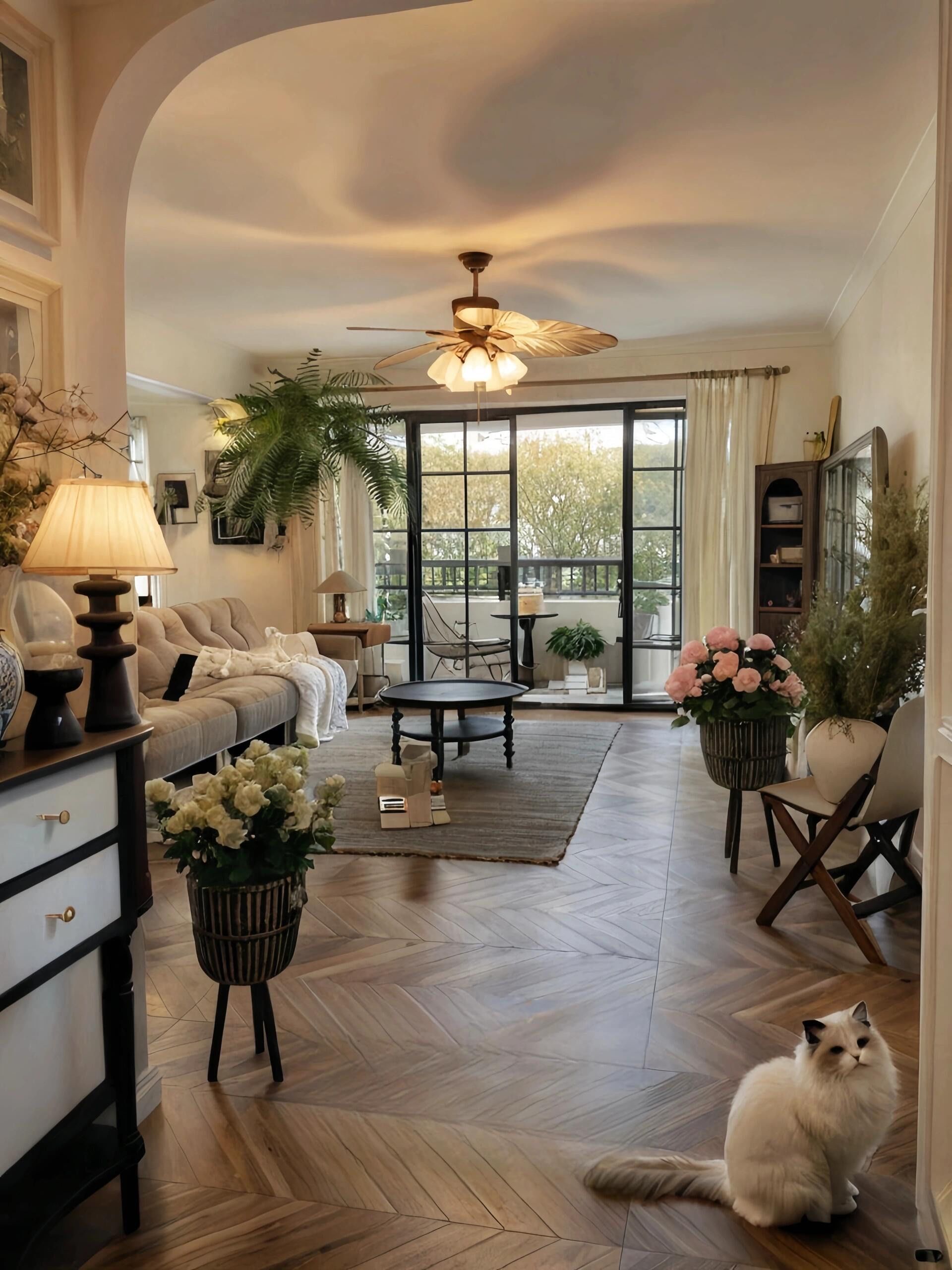 法式风美完今天美明天