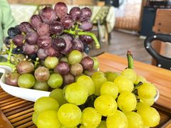 -美家乐农庄·露营·团建(大治路店)