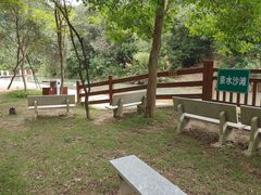 -广州白江湖森林公园