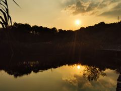 -西湖风景区-江洋畈生态公园