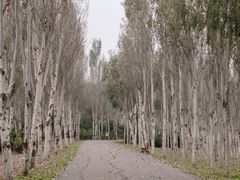 -东郊湿地公园