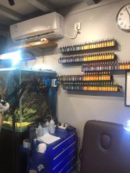 点击看大图 -MDZ STORE·TATTOO·耳饰