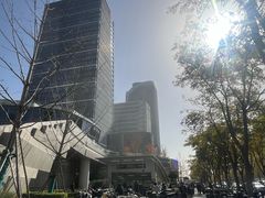 -东方体育中心(地铁站)