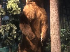 -陕西自然博物馆