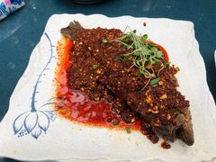-云里小坐·小院里·团建·宴请·下午茶(三圣乡店)