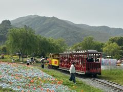 -径山花海