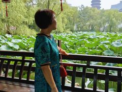 -长兴太湖图影湿地文化园