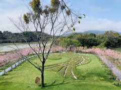 -福建鲤鱼洲酒店