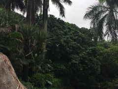 -荔枝公园(福田区)