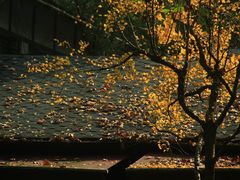 -茅家埠