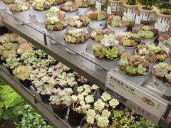 -鹿岛生活(熙地港店)