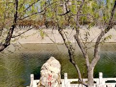 -桃花堤公园