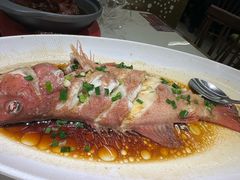 -阿毛饭店首店·宁波老字号(文化广场店)