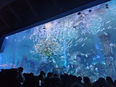 -哈尔滨波塞冬海底世界