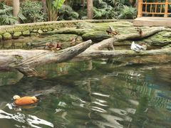 -南宫五洲植物乐园