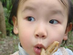 -昆山城市生态森林公园