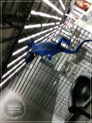 -斑斓色彩沙龙