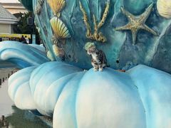 -大连海昌发现王国主题公园