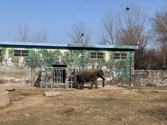 -西安秦岭野生动物园