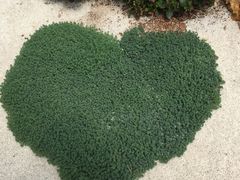 -南通洲际绿博园