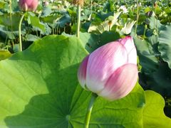 -韶山毛泽东同志故居