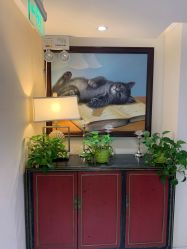 -咪咪比基尼脱毛专业店