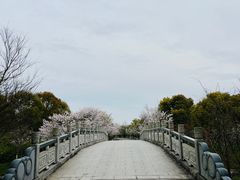 -上海海湾国家森林公园