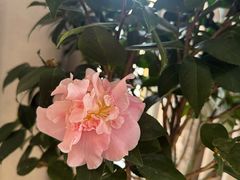 -回锦轩(泉园店)