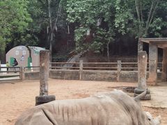 -昆明动物园